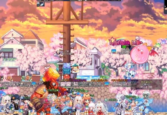 彩虹岛可以放仓库的宠物(什么宠物可以贩卖装备)